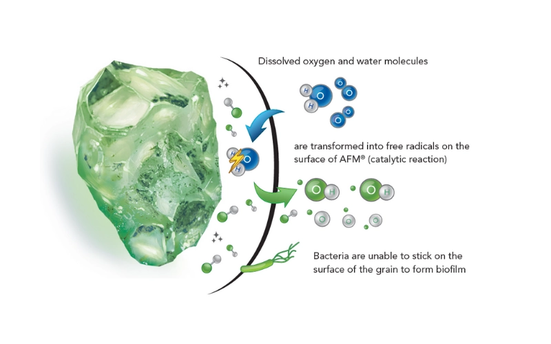 Activated Filter Media - Bacterial Resitance