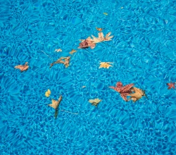 Autumn Swimming Pool Care