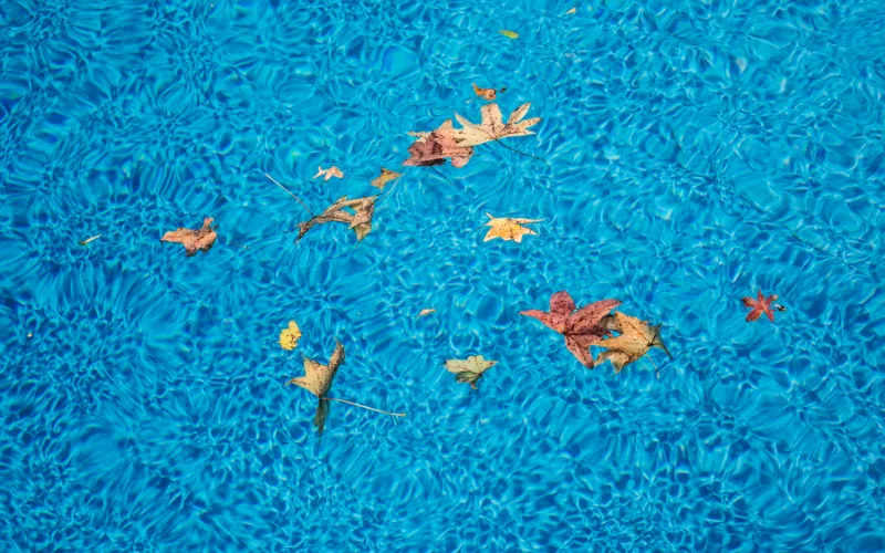 Autumn Swimming Pool Care