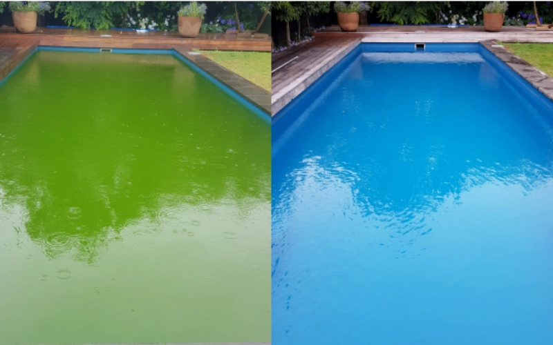 Green Pool To Blue