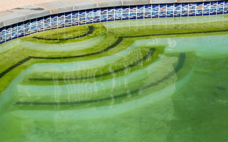 Summer Pool Setup - Green Pool