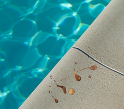 How Do I Get Rid Of Stains In My Swimming Pool?
