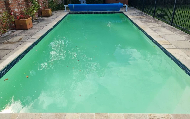 Green to pristine pool water
