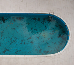 What Makes Swimming Pools Dirty?