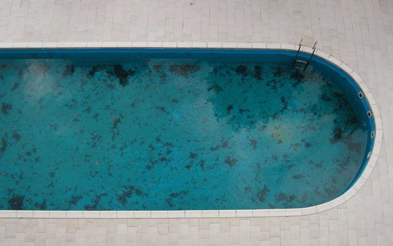 What Makes Your Swimming Pool Dirty