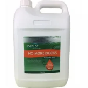 No More Ducks