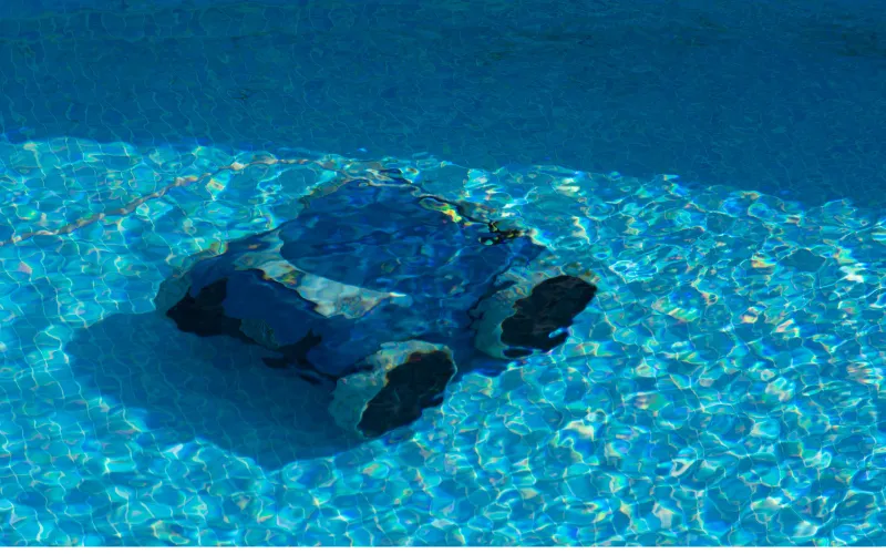 The 10 Best Features to Look For in a Robotic Pool Cleaner